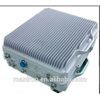 Multi band digital wireless repeater